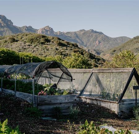 Regenerative garden at The Ranch Malibu